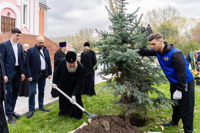 Церковная экологическая программа «Древо жизни» начала озеленение городов Казахстана